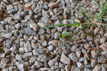 Pebble wallpapers on the ground.