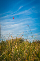 hot air balloon above lake velence reeds
