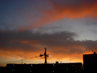 The cloud which is stained with a sunset to stare at at dusk