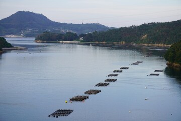 気仙沼特産品の牡蠣棚/Oyster farming at Kesennuma, Miyagi