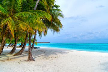 Lounge chairs on a beautiful tropical beach at Maldives