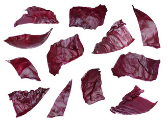 Red cabbage leaves falling on white background