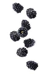 Fresh tasty blackberries falling on white background