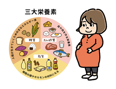 三大栄養素の表とお腹を抱えた妊婦さんのイラスト