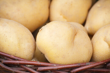 Fototapeta na wymiar Fresh ripe various potatoes in basket on stall at bazaar
