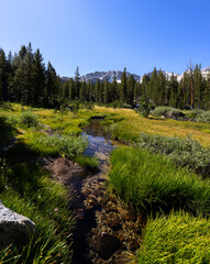 Creek in the High Sierra