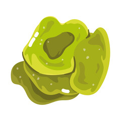 lettuce vegetable fresh cartoon isolated icon white background