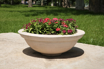 Fototapeta na wymiar Beautiful flowers in stone plant pot outdoors on sunny day