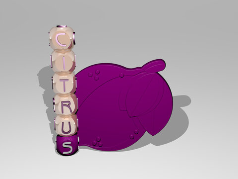 3D representation of citrus with icon on the wall and text arranged by metallic cubic letters on a mirror floor for concept meaning and slideshow presentation. background and fruit