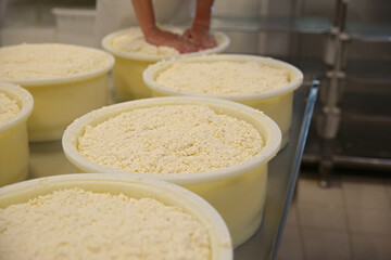Moulds with pressed curd on table at cheese factory, closeup