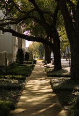 Streets in New Orleans