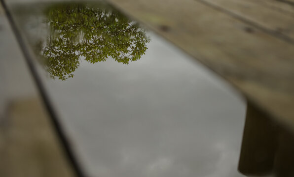 Reflection In Puddle Of Tree And Sky