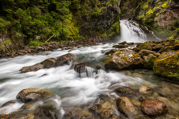 Fototapeta premium Wide angle view of an alpine waterfall flowing out of the rock and between boulders and pebbles, surrounded by luxuriant vegetation