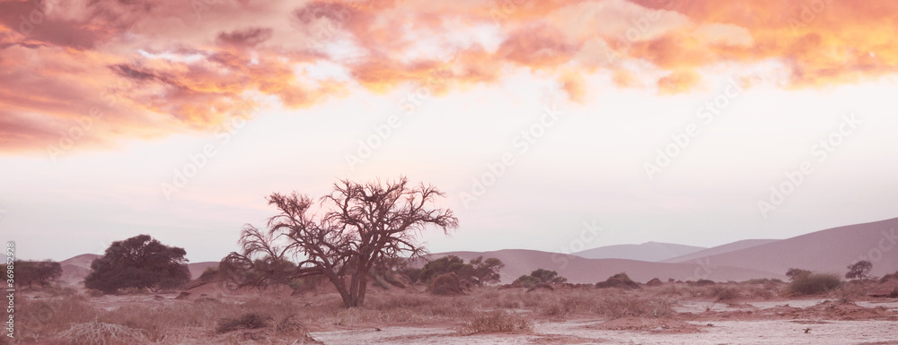 Wall mural Namib