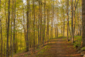 Hiking trail on top of a hill landscape