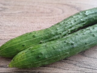 美味しそうなきゅうり