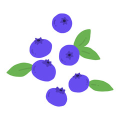 ブルーベリーの手描きイラストアイコン blueberry flat illustration vector icon