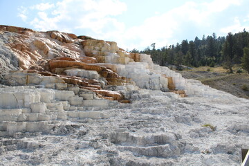 Mammoth Hot Springs Yellowstone