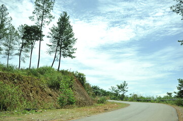 Fototapeta premium road in the countryside