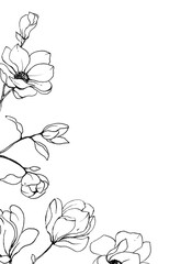 Flowers magnolia black lines, floral frame border for greeting card, invitation and other printing design. Isolated on white. Hand drawing.