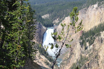 Grand Canyon of the Yellowstone