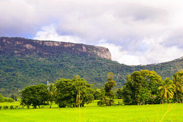 Obraz premium Dolukanda Mountain ,Sri lankalandscape, mountain, sky, nature, green, grass, blue, hill, summer, view, forest, mountains, cloud, tree, field, hills, clouds, rural, trees, travel, rock, country, 