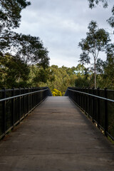 Fototapeta na wymiar wooden bridge in the park