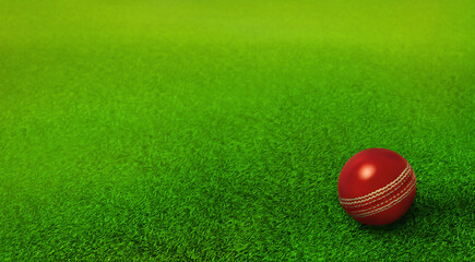cricket ball resting on green grass pitch, cricket ground, ipl, twenty twenty , cricket world cup