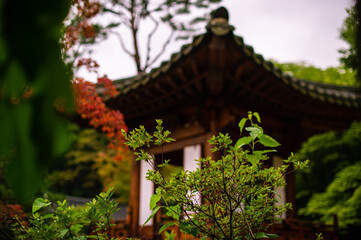 Fototapeta na wymiar Traditional Korean Tile House and Nature