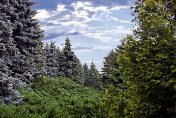 Grishko Central Botanical Garden in Kiev Ukraine