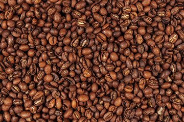 Roasted mocha coffee beans background. Mocha - sort of arabica