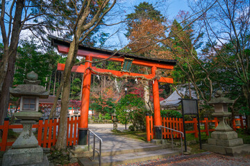 Fototapeta na wymiar 京都　大原野神社の紅葉