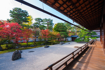京都　相国寺の紅葉