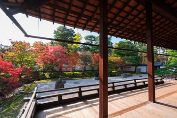 京都 相国寺の紅葉
