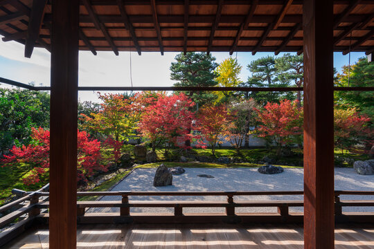 京都　相国寺の紅葉