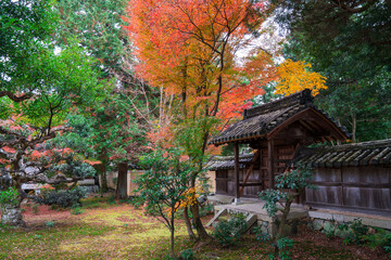 京都　鹿王院の紅葉