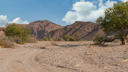 Steinwüste im Etosha Nationalpark Namibia Südafrika