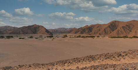 Fototapeta na wymiar Steinwüste im Etosha Nationalpark Namibia Südafrika