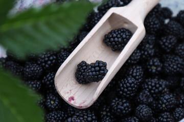 Wooden scoop on a background of ripe blackberries, close-up, bokeh