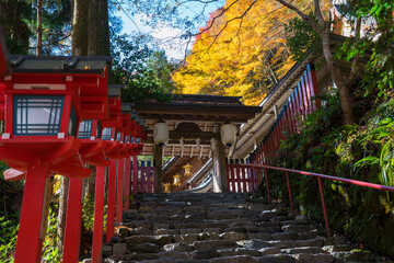 京都　貴船神社の紅葉