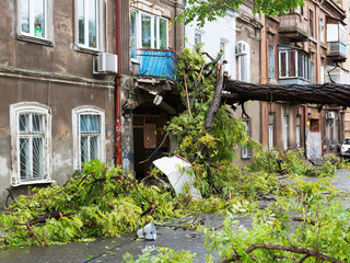 Fototapeta na wymiar Hurricane CHRISTIE. Heavy rain and gale - force gusts of wind caused accident - old tree during storm fell on car and destroyed house. Strong storm with rain