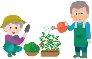 家庭菜園　ガーデニングをする高齢男女　イラスト