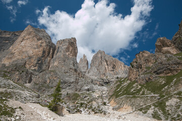 Summer view of Catinaccio mountain massif, Dolomites, Vigo di Fassa village, Trentino, Italy