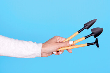 Gardening tools in hand, isolated on blue background.