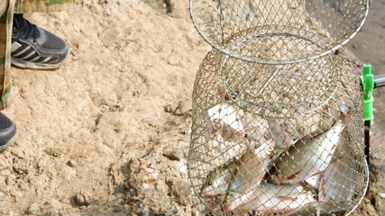 fishing net and rope