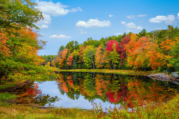 Colorful foliage tree reflections in calm pond water on a beautiful autumn day in New England - Powered by Adobe