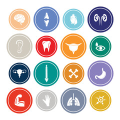 Human Body Parts Infographic Round design Icon Sets For Web, App And Design.