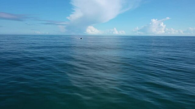 sea ​​sky and fisherman boat seagulls drone footage 
