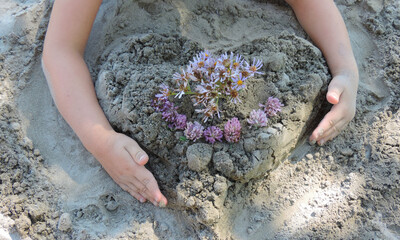    the child made a heart out of sand and decorated with wildflowers     