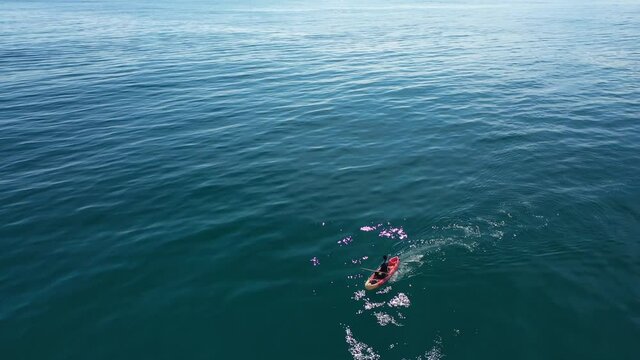 people kayaking in the sea drone footage kayak